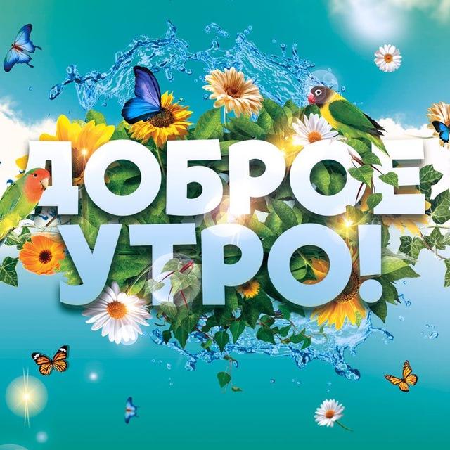 Тележка с открытками для всей семьи. 1 июня С первым днём лета! С Днём родителей, военно-транспортной авиации, защиты детей!