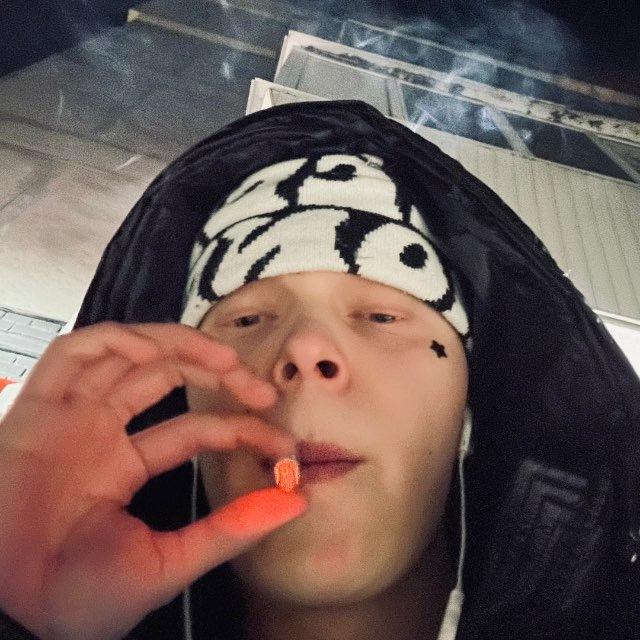 максикид +