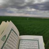 ‏﴿‏وَذَكَرُوا اللَّهَ﴾ .