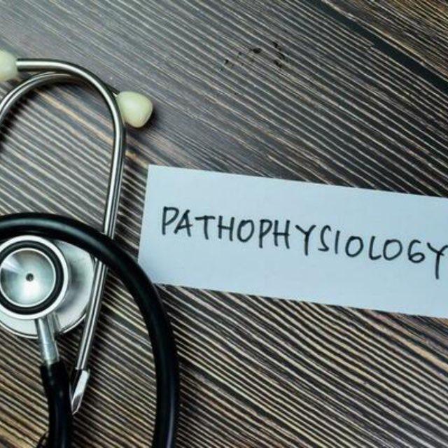 1 Pathophysiology 🩺🧬