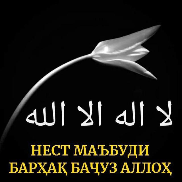 🌿🌴РОҲ БА СУИ ҲАҚ🌿🌴
