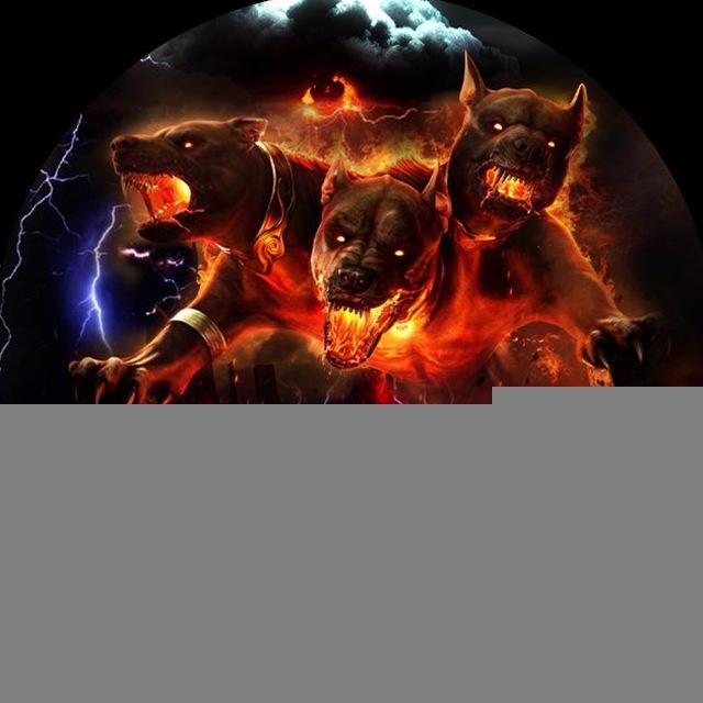 PEYGAMBERİN KÖPEĞİ