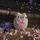 花 blossom