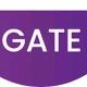 GATE PRIVIOUS YEAR PAPER AND LECTURES