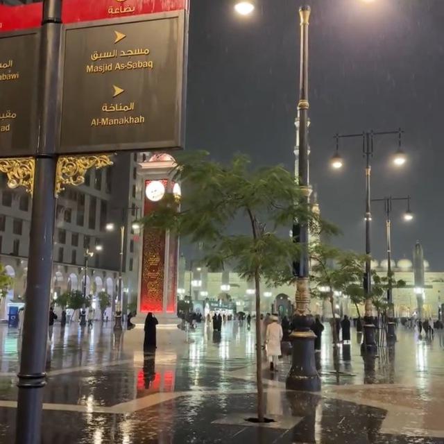 Madinah 🏢🏠