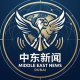 中东环球观察