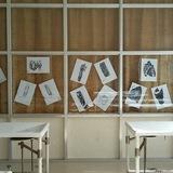 التشريح العام - السنة التحضيرية ـ جامعة حلب