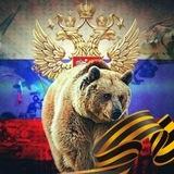 Russia news | الموجز الروسي
