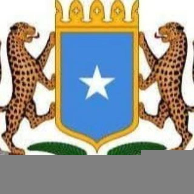 Dhigaalka Siyaasada🇸🇴