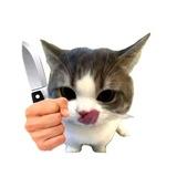 𓏻 奶猫投稿社 ♡゛