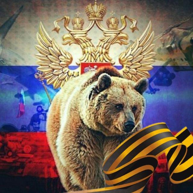 Russia news | الموجز الروسي
