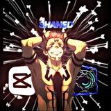 Two_s_SHAHED