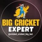 Big cricket expert 🏏