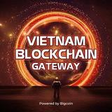 Vietnam Blockchain Gateway