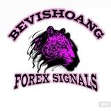 Bevis Hoàng Channel