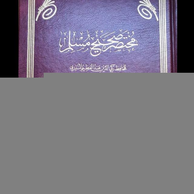 شرح مختصر صحيح مسلم للمنذري