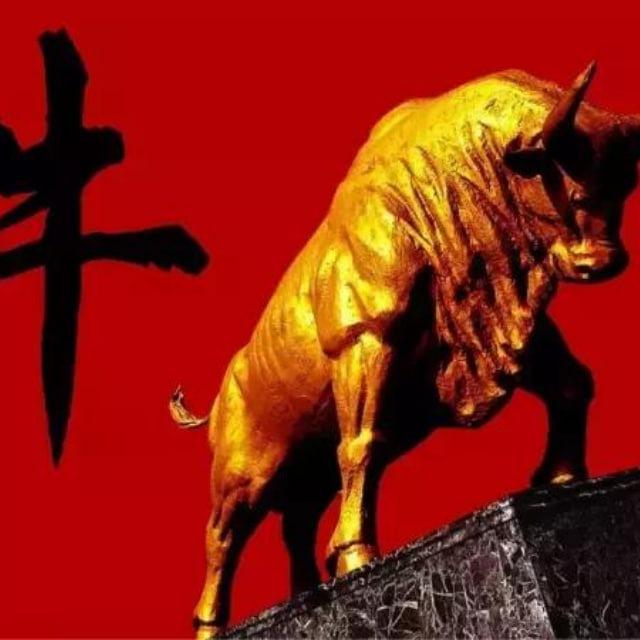 美股期权分享日记
