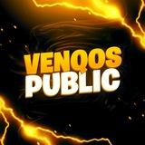 Venqos Public Stock