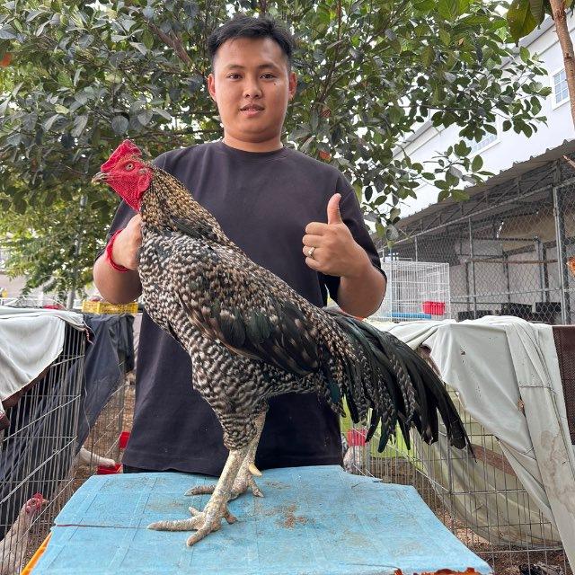 កសិដ្ធានតូច ស្វាយរលំ 🇰🇭❤️