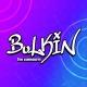 Bulkin Fun Community