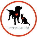 Салмачи - Куюки | Потеряшки