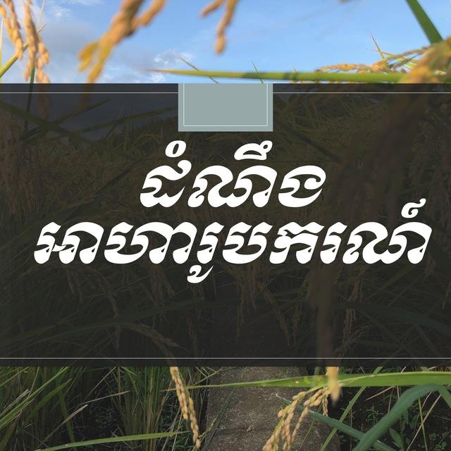 ដំណឹងអាហារូបករណ៍ និងការសិក្សានៅបរទេស