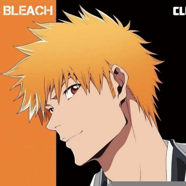 Bleach/Блич