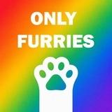 Only Furries 🌈 Furry Gallery