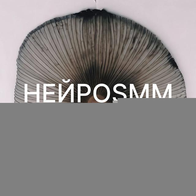 НЕЙРОSMM x LAVA EDU