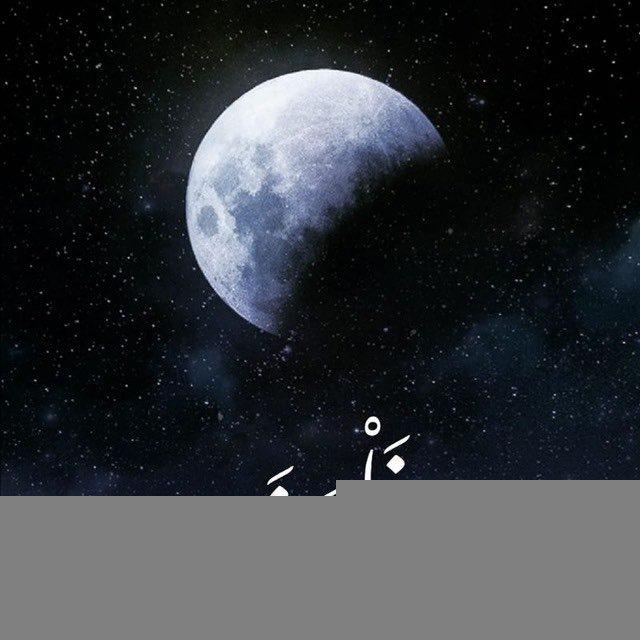 فلسفة | Philosophy