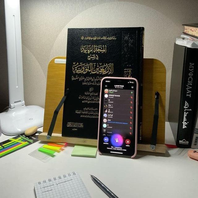 الـمُنْتَقى 𓍼