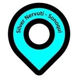 Silver Nervuti