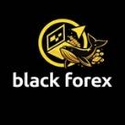 🐋 Black Forex📉📈🐋