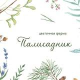 Палисадник | Цветы и букеты | Екатеринбург Косулино