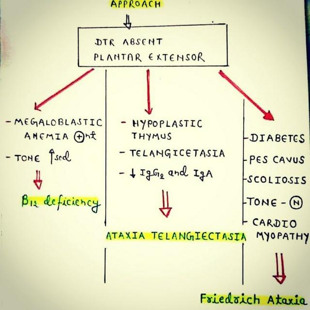 Neet SS Neurology ️