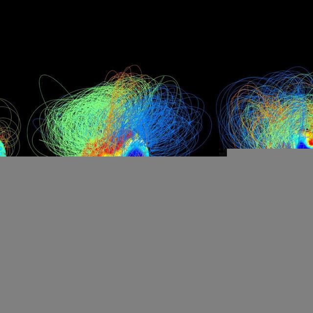LIFE OPTIMIZED🧬