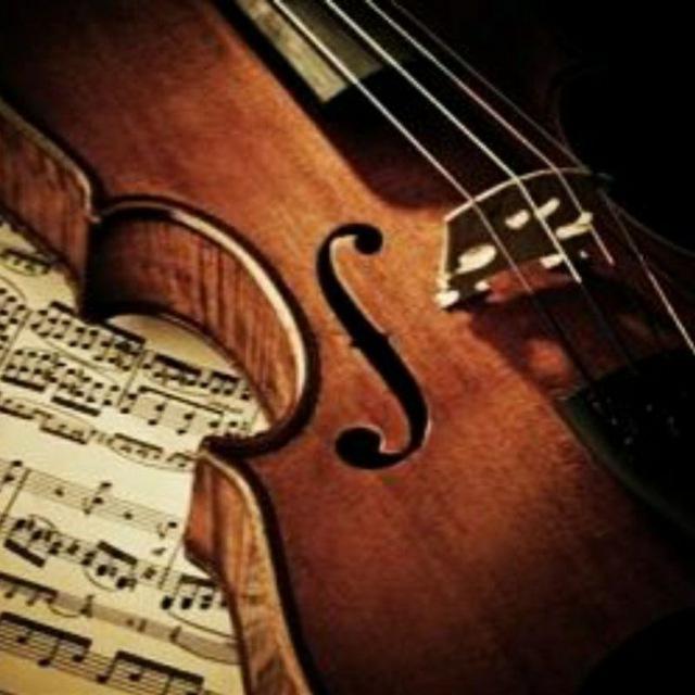 🎻🎼