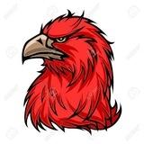 🦅𝐑𝐄𝐃 𝐄𝐀𝐆𝐋𝐄 𝐌𝐀𝐒𝐓𝐄𝐑 𝐎𝐅 𝐍𝐈𝐅𝐓𝐘 𝐁𝐀𝐍𝐊𝐍𝐈𝐅𝐓𝐘 🦅