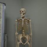 Dr.Daniarqyzy