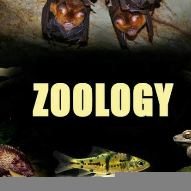 B.Sc.(Hons.) in Zoology