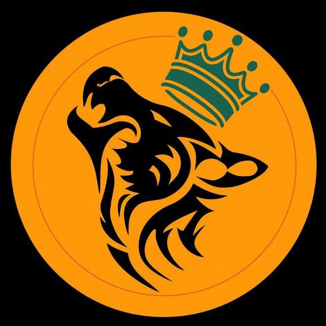 King Memes 👑