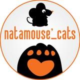 NataMouse_cats