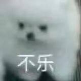顾来顾去的全新白嫖频道