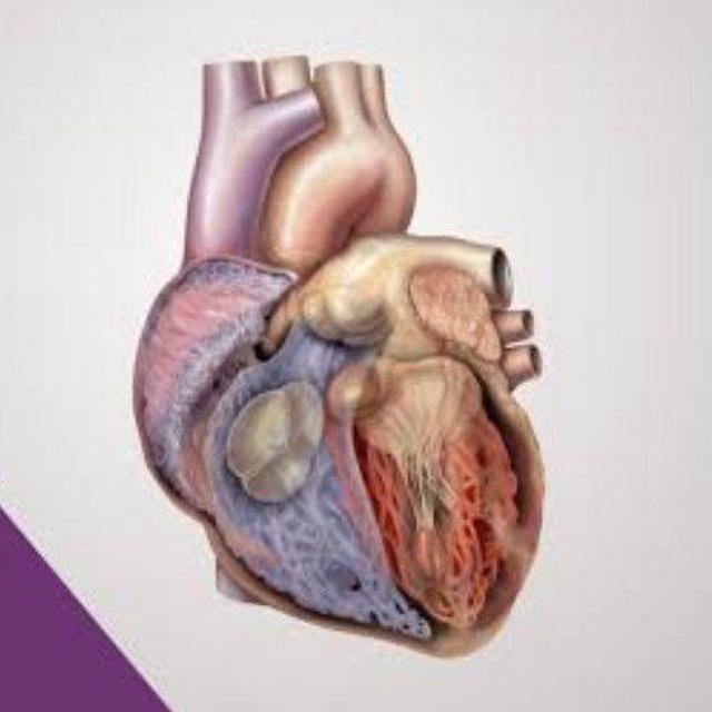 Anatomy Pratical