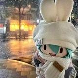 Wilie内核