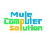 Mule Comp Solution