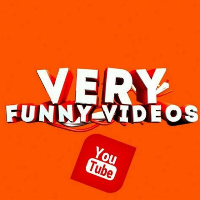 Funny Videos