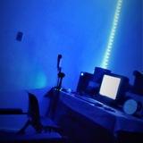🎙LA CASA DE LOS LOCOS.tm