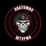 «Анатомия Штурма»