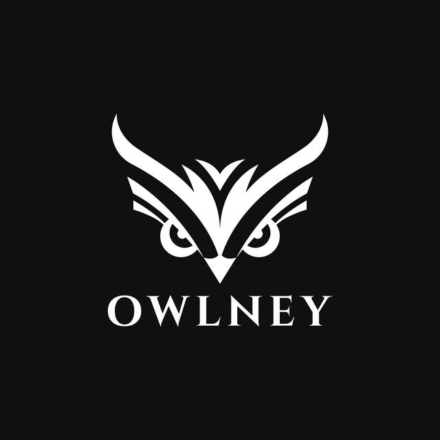Owlney - notes d’un entrepreneur